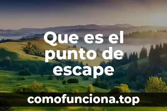 Qué es conciencia organizacional 4 Que es el punto de escape