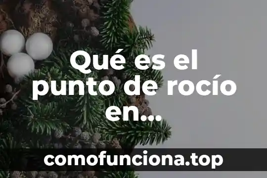 Qué es un punto de vista de planta 6 Qué es el punto de rocío en termodinámica
