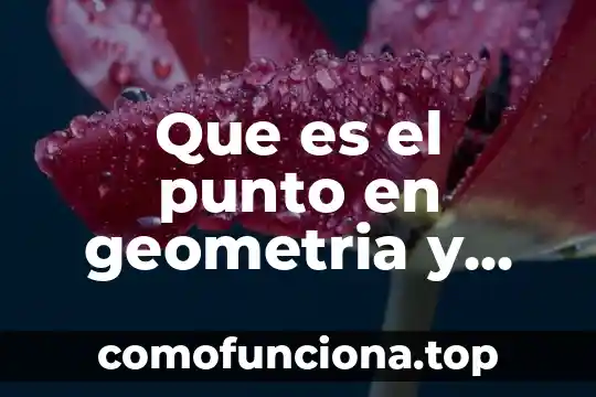 Qué es geometría definición 3 Que es el punto en geometria y trigonometria
