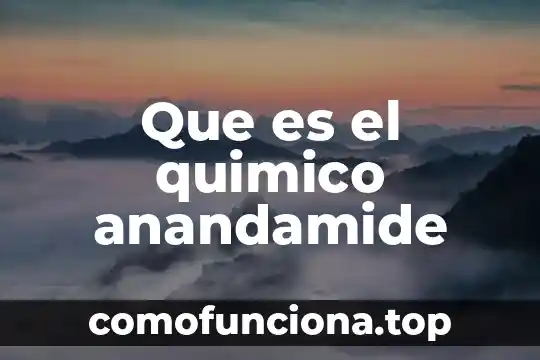 Que es la cultura de la prevención 7 Que es el quimico anandamide