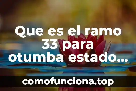 Que es la animacion de texto 8 Que es el ramo 33 para otumba estado de mexico