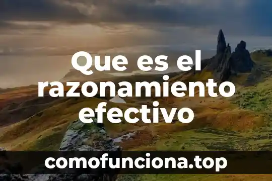 Que es efectivo contra venomothe 3 Que es el razonamiento efectivo