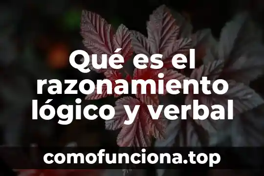 Que es el pensamiento logico matematico infantil 5 Qué es el razonamiento lógico y verbal