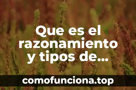 Que es la escritura segun cecilia fierro 5 Que es el razonamiento y tipos de razonamiento