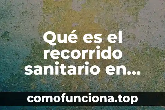 Que es ser tata en santería 4 Qué es el recorrido sanitario en salud