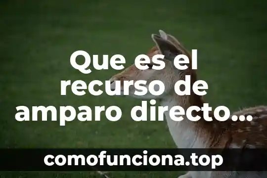 Que es la acción en materia de amparo 6 Que es el recurso de amparo directo fiscal
