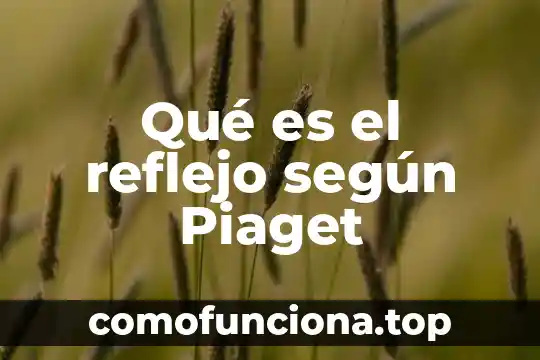 Que es el objeto de conocimiento segun piaget 8 Qué es el reflejo según Piaget