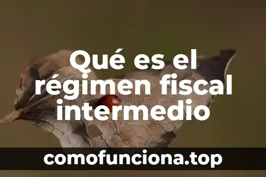 Qué es el régimen de sociedad conyugal legal 3 Qué es el régimen fiscal intermedio
