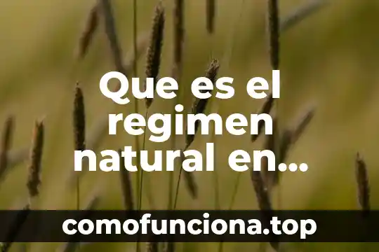 Qué es cultura oaxaca 3 Que es el regimen natural en oaxaca