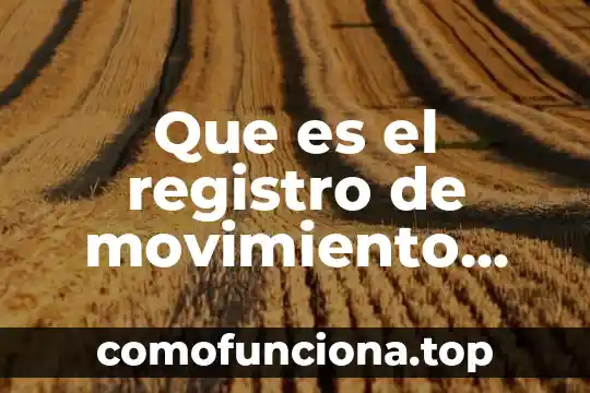 Qué es un registro de enfermería 4 Que es el registro de movimiento financiero