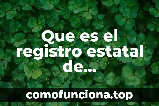 Que es el registro de movimiento financiero 6 Que es el registro estatal de profesionistas quintana roo