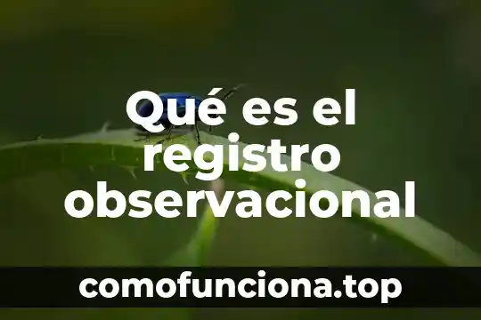 Que es un registro en español 5 Qué es el registro observacional