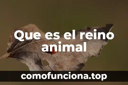 Que es el reino monera biologia 7 Que es el reino animal