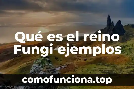 Para la pedagogía que es conocimiento 6 Qué es el reino Fungi ejemplos