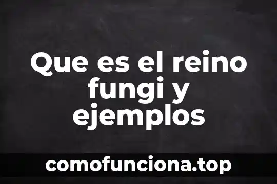 Que es el reino animal 8 Que es el reino fungi y ejemplos