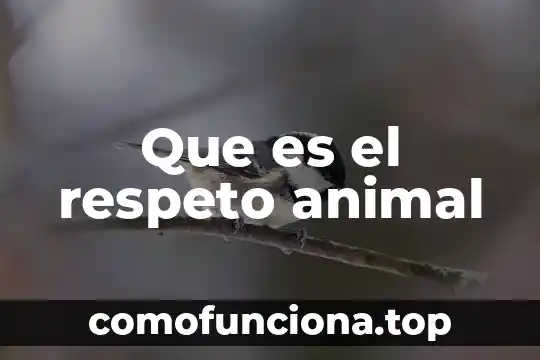 Que es la coccion de la descompocicion de los alimentos 4 Que es el respeto animal