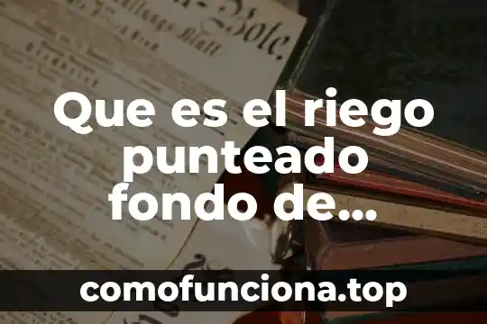 Que es el aseguramiento de la carga incorrecta 4 Que es el riego punteado fondo de aseguramiento
