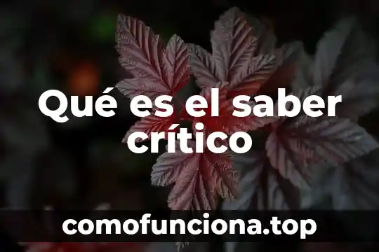 Que es mejor critico mana lech o heal imbument 5 Qué es el saber crítico