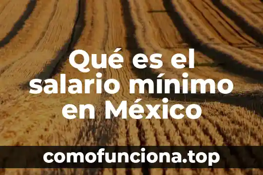 Que es la flor de jamaica en mexico 4 Qué es el salario mínimo en México