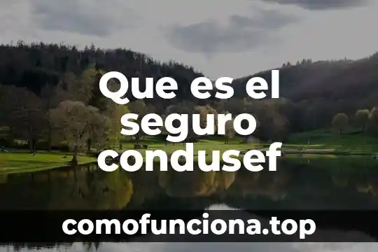 Que es el pete seguro 3 Que es el seguro condusef