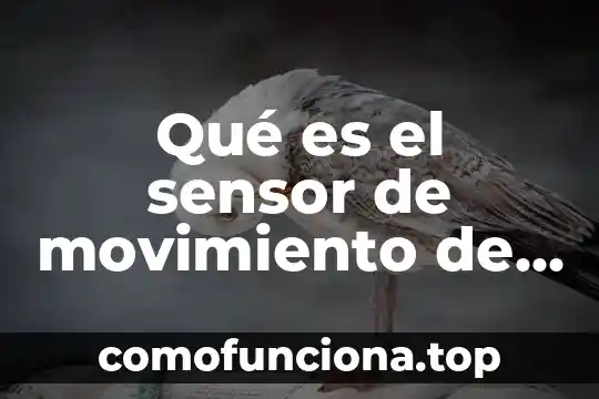 Que es la sinceridad en los valores 5 Qué es el sensor de movimiento de aguja