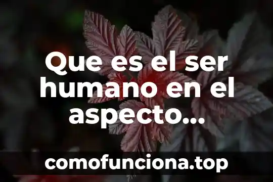 Por qué es mejor ser espiritual que religioso 3 Que es el ser humano en el aspecto religioso