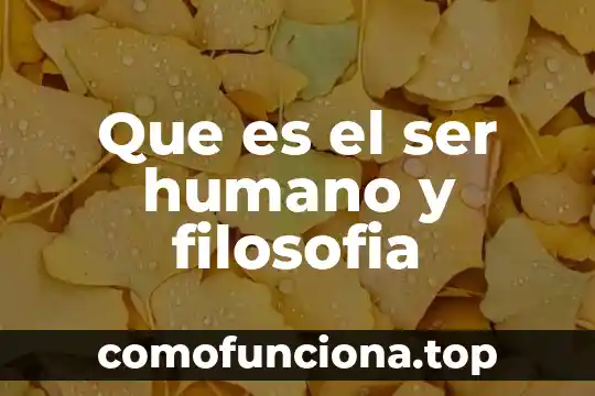 Qué es cada una de estas escalas estar ser 6 Que es el ser humano y filosofia