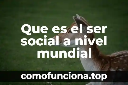 Que es la constancia de servicio social 7 Que es el ser social a nivel mundial