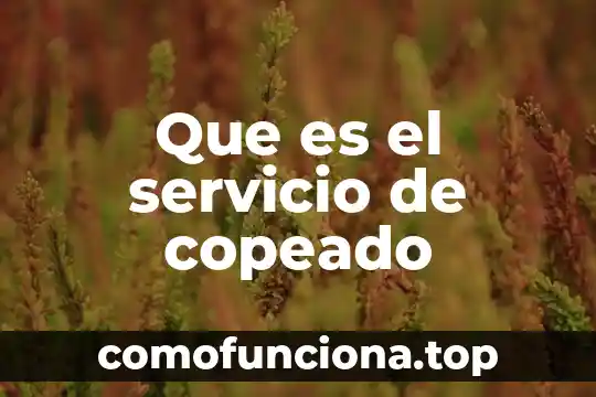 Que es un bien y un servicio segun autores 3 Que es el servicio de copeado
