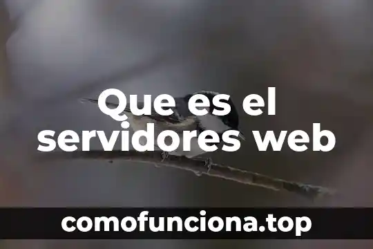 Que es un estudio de performance en servidores linux 4 Que es el servidores web