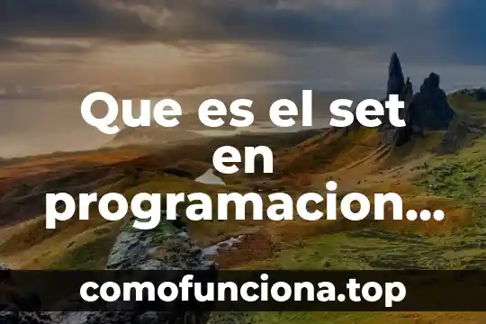 Qué es rur en programación lógica y funcional 4 Que es el set en programacion en c++