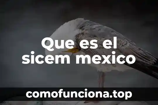 Qué es un mailing en México 4 Que es el sicem mexico