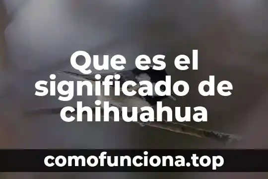 Que es el estudio de usuarios 8 Que es el significado de chihuahua