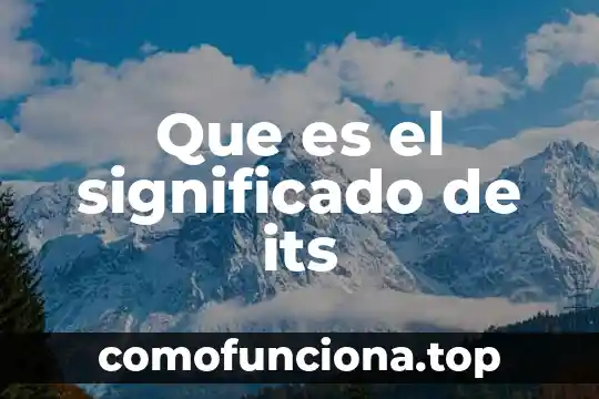 Qué es consistentes significado 3 Que es el significado de its