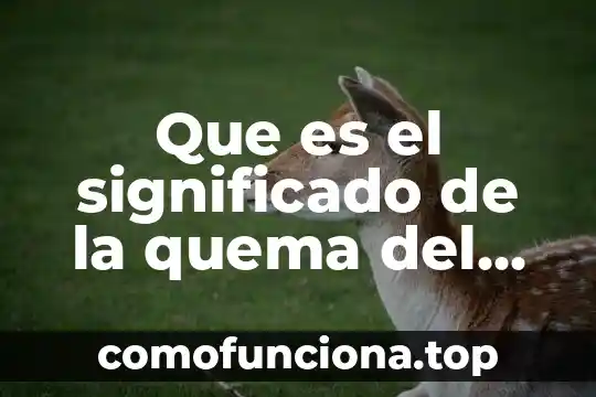 Que es bueno ponerse cuando se quema uno 3 Que es el significado de la quema del mal humor