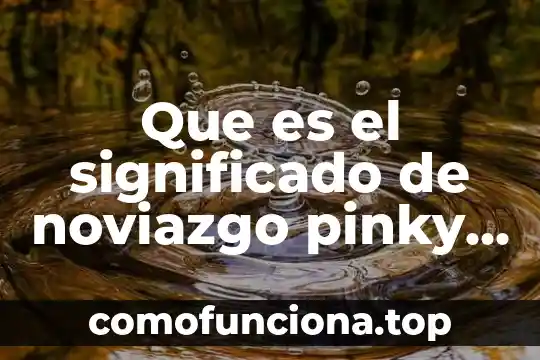 Ifai significado que es 7 Que es el significado de noviazgo pinky y cerebro
