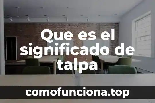 Que es el complemento directo de una oracion 8 Que es el significado de talpa