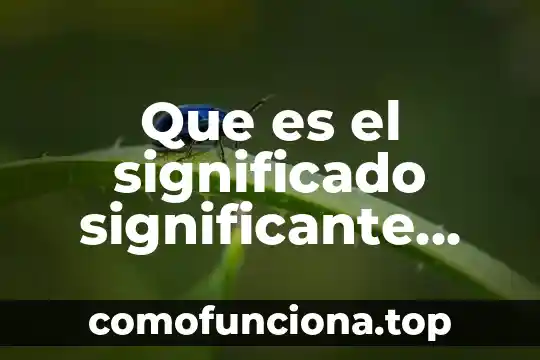 Que es un cultural shaper 3 Que es el significado significante refernte y entidad cultural