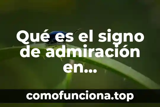 Qué es asinfota matemáticas 4 Qué es el signo de admiración en matemáticas