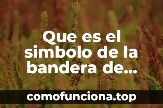 Que es la mariona en un ensayo 6 Que es el simbolo de la bandera de mexico