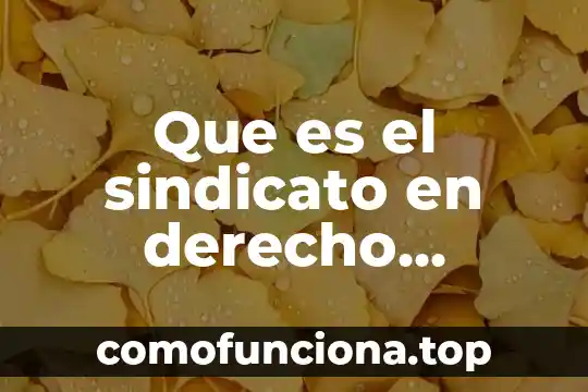 Que es el principio de equidad en derecho laboral 4 Que es el sindicato en derecho laboral