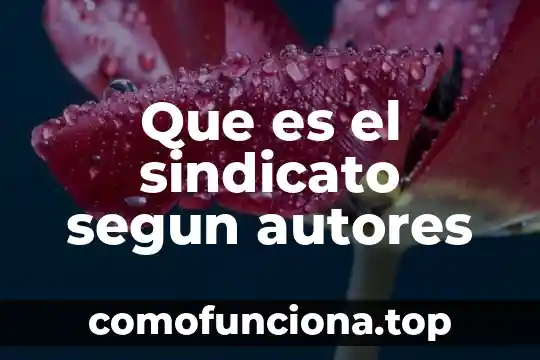 Que es la depreciacion de propiedad planta y equipo 3 Que es el sindicato segun autores
