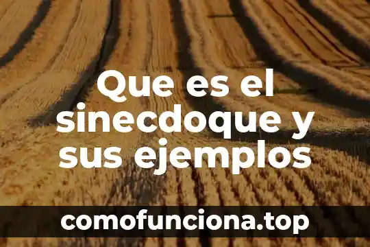 Que es cultura legalidad y ejemplos 5 Que es el sinecdoque y sus ejemplos