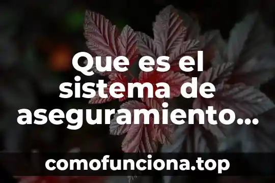 Que es el aseguramiento de la carga incorrecta 5 Que es el sistema de aseguramiento y financiacion