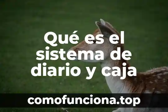 Que es el sistema inmunitario o inmunológico 6 Qué es el sistema de diario y caja