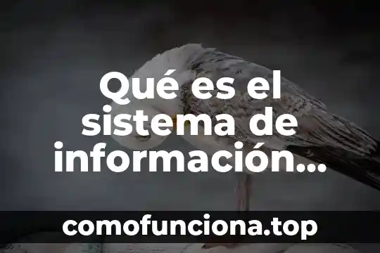 Información que es una adivinanza con metáfora 7 Qué es el sistema de información MRP