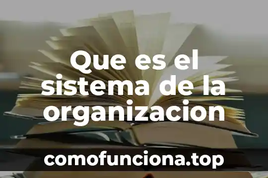 Qué es el plancton animal 7 Que es el sistema de la organizacion