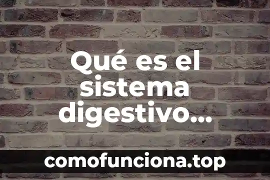 Sangrado activo del tubo digestivo alto que es 4 Qué es el sistema digestivo definición