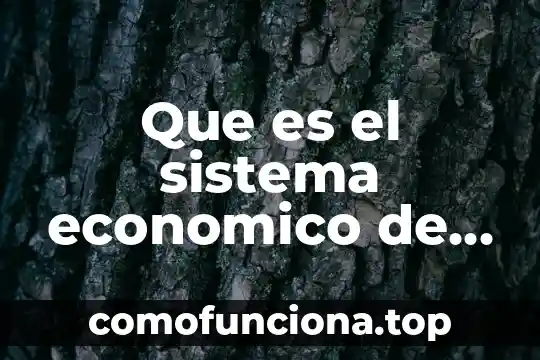 Que es rodaje del sistema cinematografico 5 Que es el sistema economico de mercado central mixto