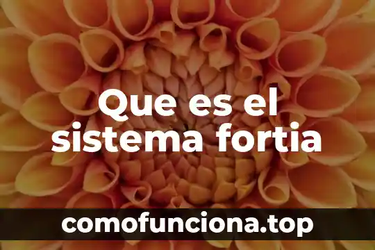 Que es el dolor de rs segun las creencias populares 4 Que es el sistema fortia